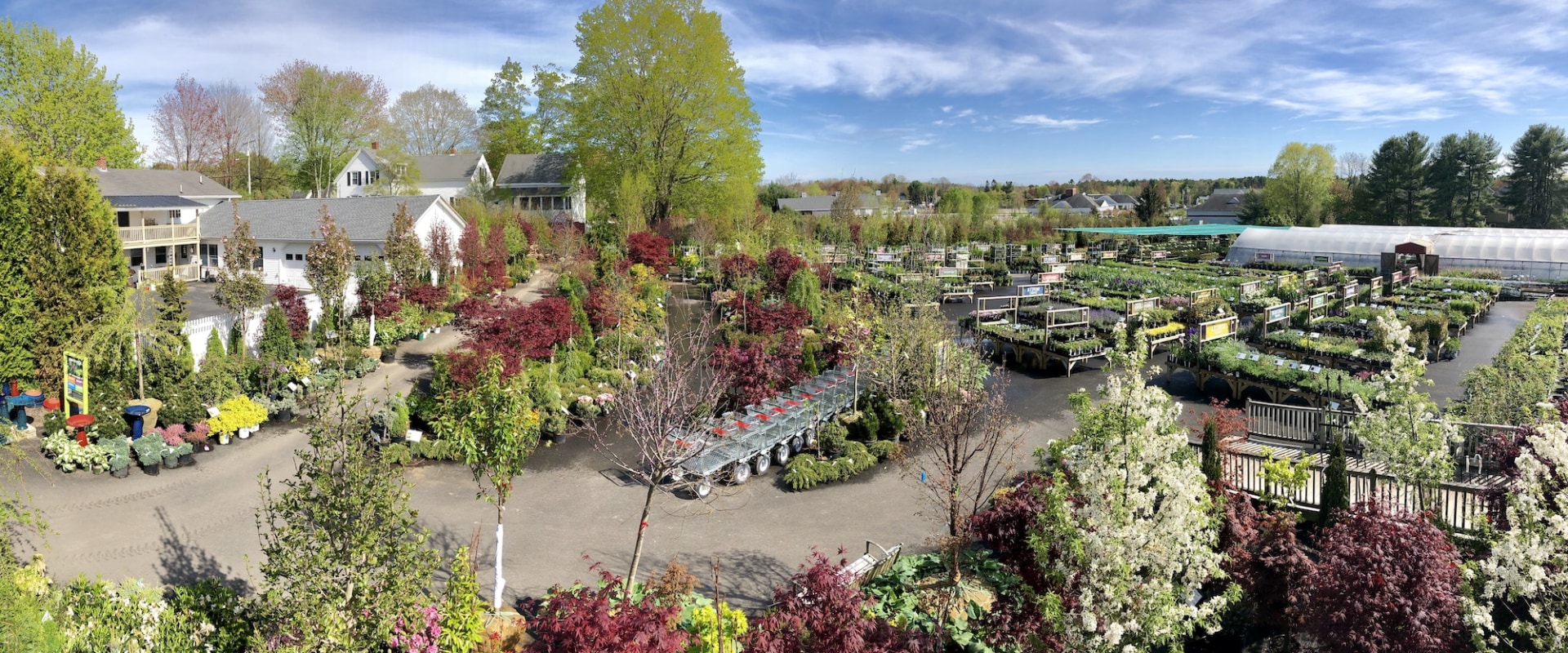 Are Gardening Centres Open Today Are Gardening Centres Open Today