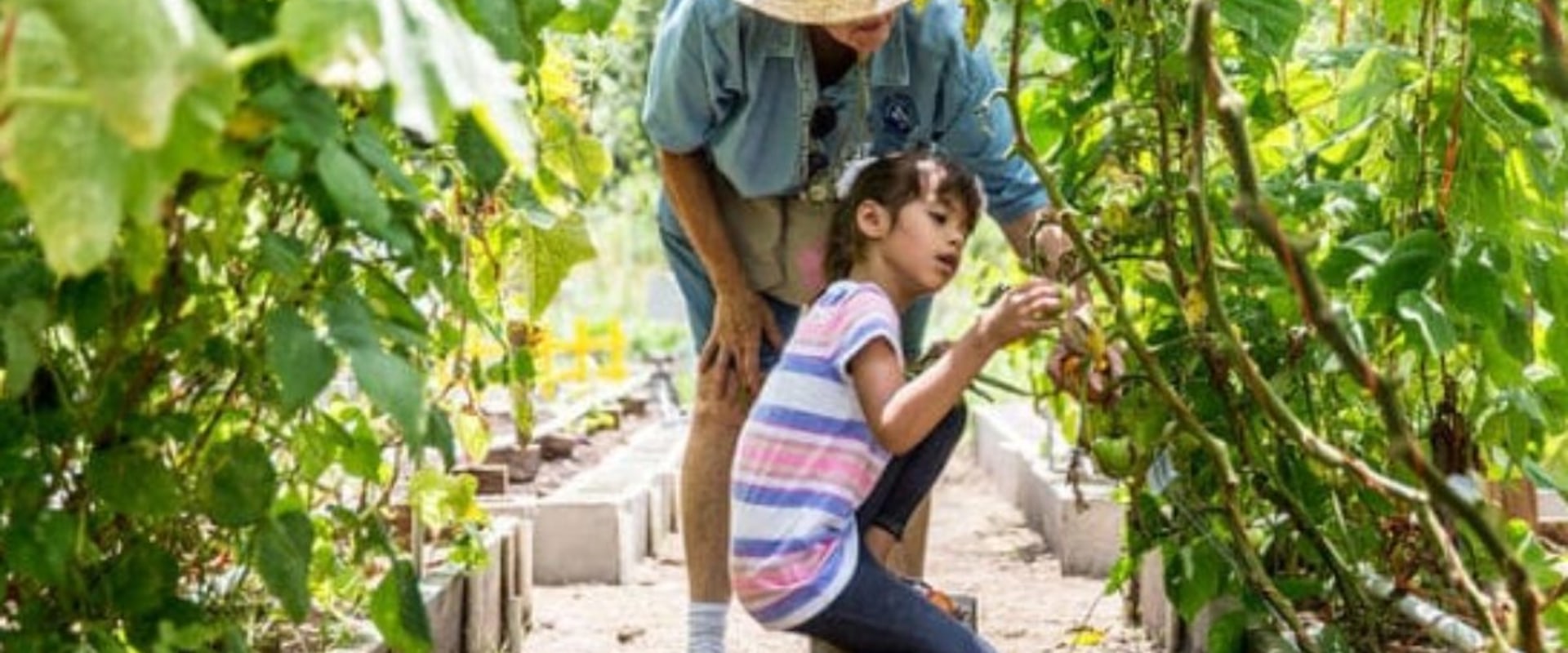 Why Gardening Is The Best Hobby