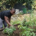 How gardening reduces stress?