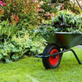 Why gardening is good for mental health?