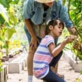 Why gardening is the best hobby?