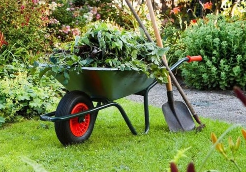Why gardening is good for mental health?