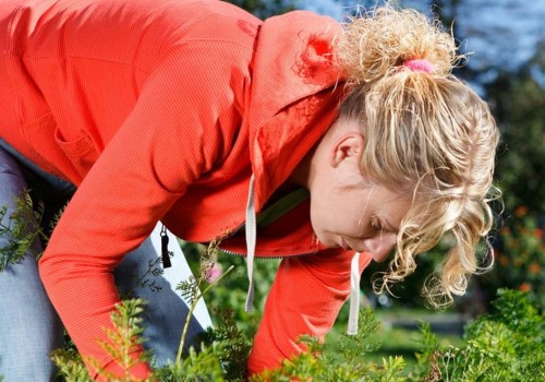 Can gardening cause sciatica?